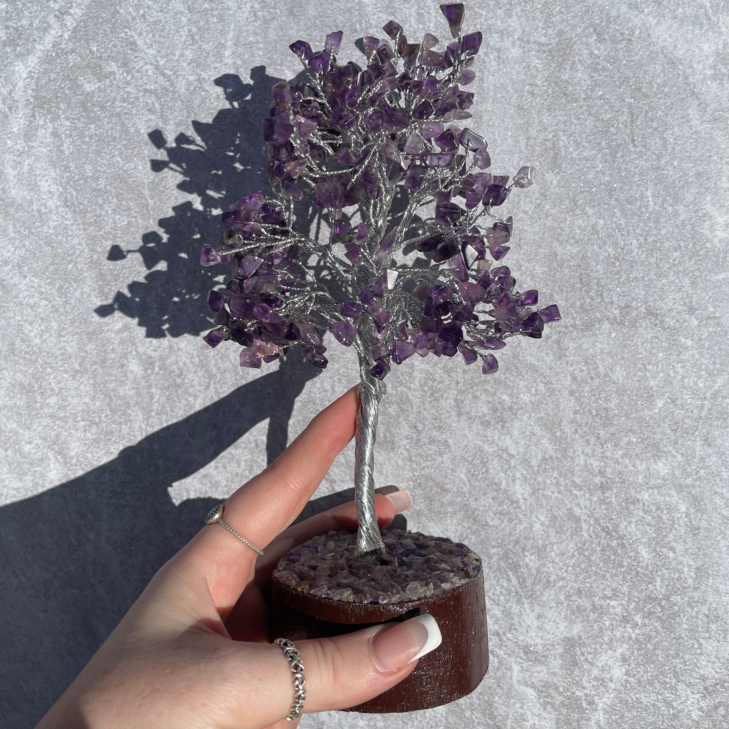 Amethyst Tree - Medium 016 Amethyst Tree - Medium 016